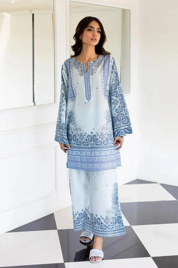Blue Printed Rayon Co-Ord Set with Straight Kurta and Matching Pant H004
